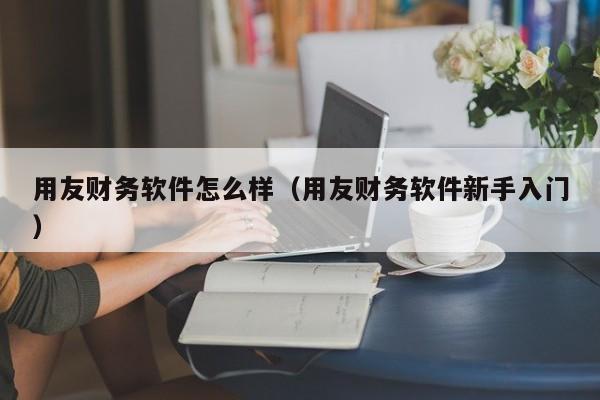 用友财务软件怎么样(用友财务软件新手入门)